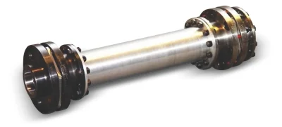Euroflex Disc Couplings görsel 2